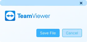 Install Team Viewer